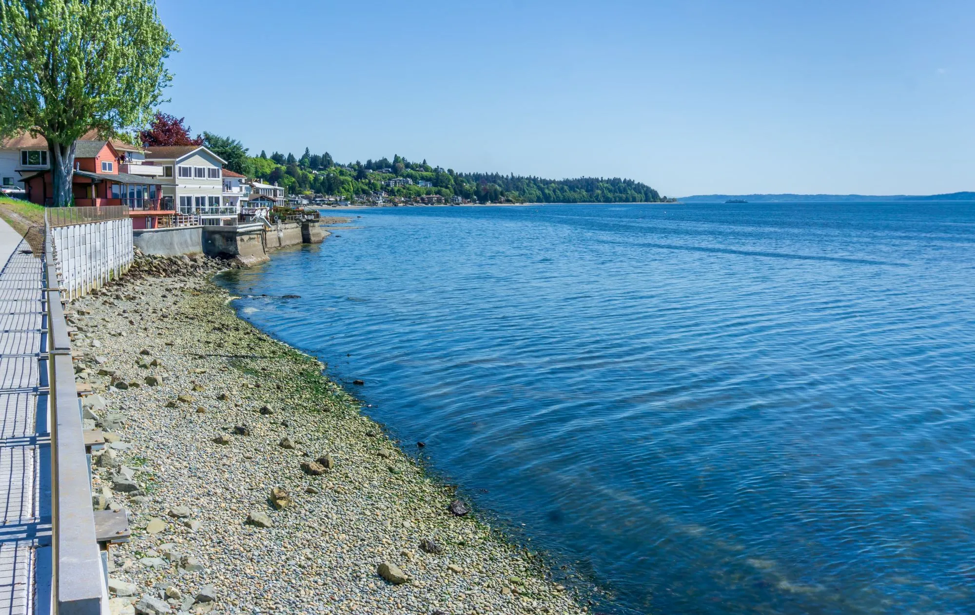 Edmonds Property Management